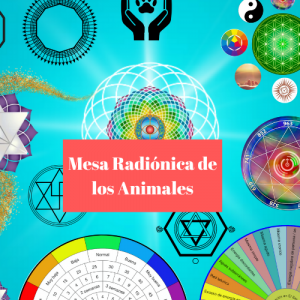 Mesa Radionica de los Animales